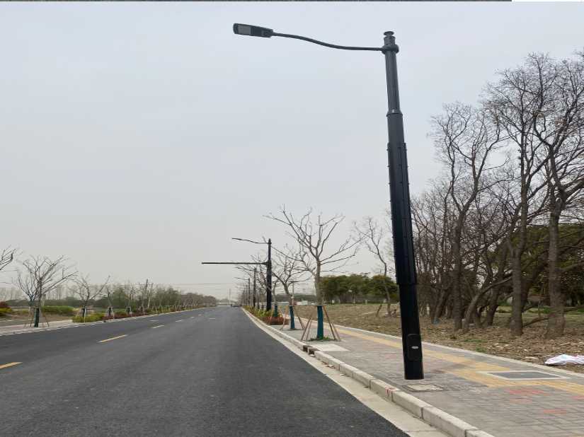 芜湖市上海综合杆 太阳能路灯工程